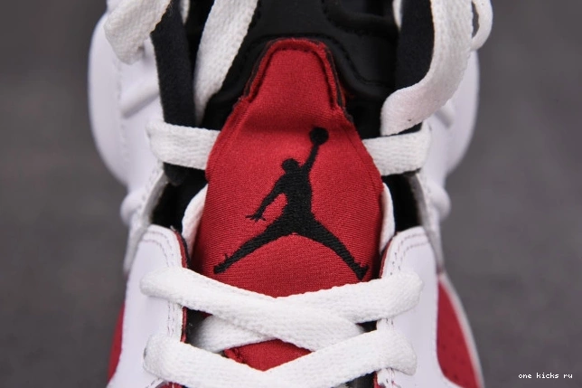 Rep Onekick 'CARMINE' 2021 RETRO 6 AIR JORDAN CT8529-106 0821
